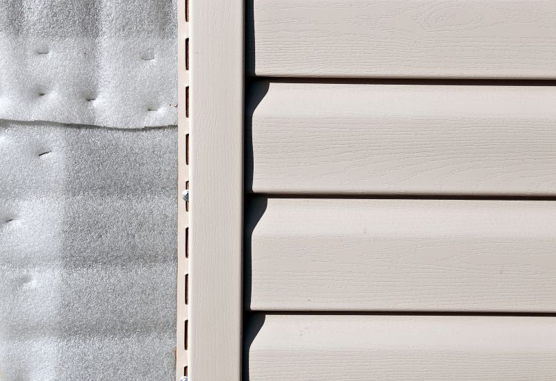 Pvc Siding Installation in Lake City, FL