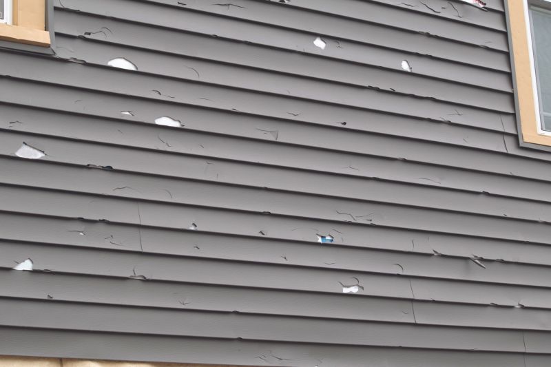 Vinyl Cladding Installation in Lake City, FL