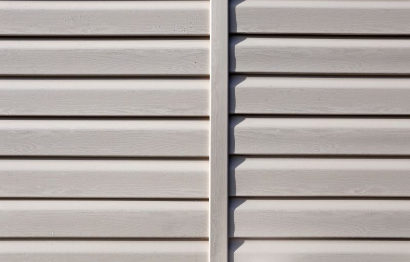 Vinyl Cladding Installation in Lake City, FL